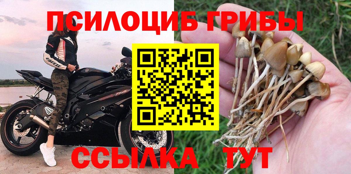 Георгиевск  Псилоцибиновые грибы GOLDEN TEACHER  Вход с VPN 
