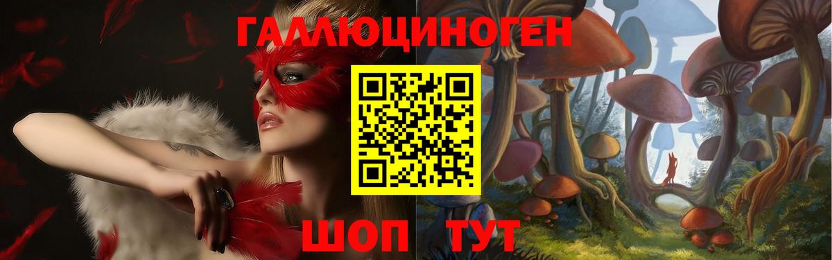 Галлюциногенные грибы GOLDEN TEACHER Георгиевск